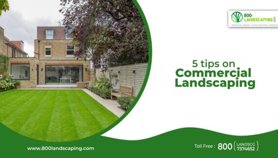 5 tips of commercial landscaping