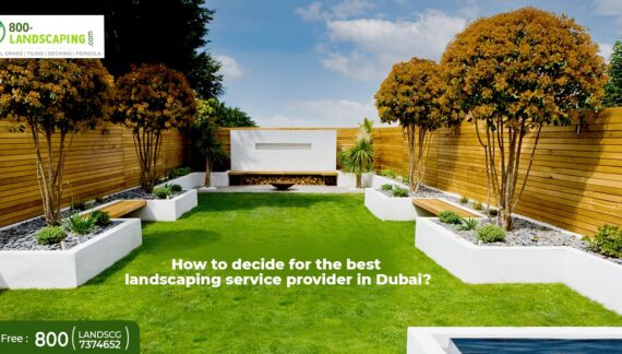 How to decide for the best landscaping service provider in Dubai