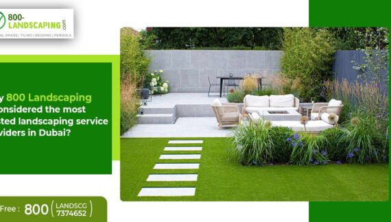 Why is 800 Landscaping considered the most trusted landscaping service provider in Dubai