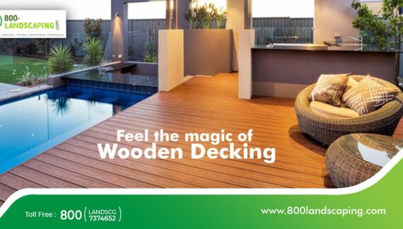 Feel the Magic of Wooden Decking