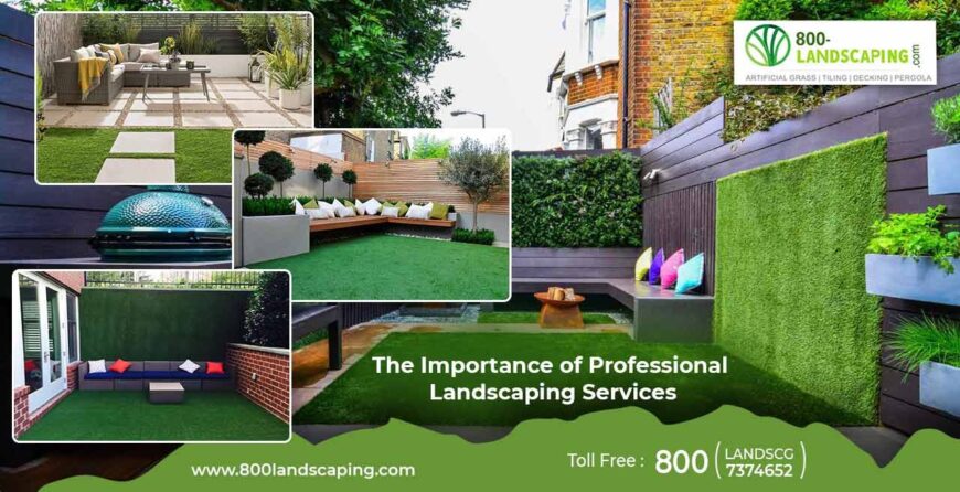 Professional Landscaping Services in Dubai | 800 Landscaping