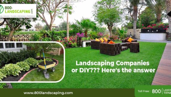 Landscaping Companies Or DIY Here's The Answer