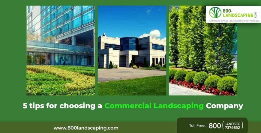 5 tips for choosing a commercial landscaping company