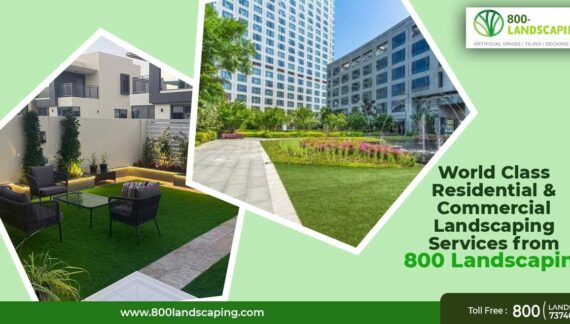 World Class Residential & Commercial Landscaping Services from 800 Landscaping