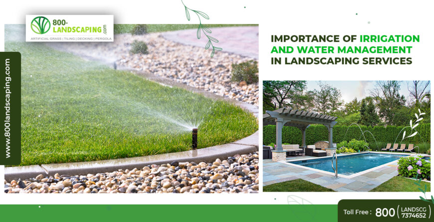 Importance of Irrigation and Water Management in Landscaping Services in Dubai