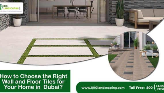 Elevate your home with the perfect tiles. A guide to selecting wall and floor elegance in Dubai. Collaborate with top landscaping services provider 800Landscaping for a complete transformation.