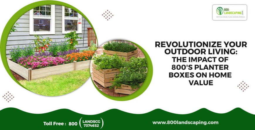 The Impact of 800's Planter Boxes on Home Value