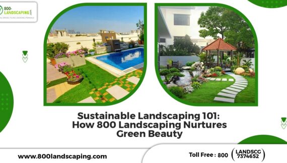 leading landscaping company in dubai, top landscaping service provider in dubai, best landscaping designs in dubai, best outdoor landscaping service provider in dubai,