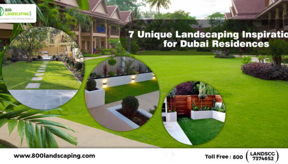 : Elevate your Dubai residence with these 7 unique landscaping inspirations. From desert oasis gardens to rooftop terrace retreats, discover how 800Landscaping can transform your outdoor space.